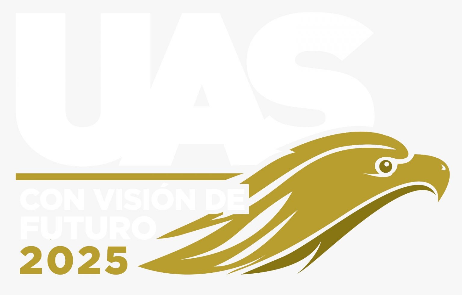 Logo Vision Transparente